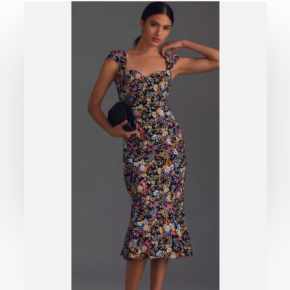 NWOT Anthropologie Maeve Cecily Fit and Flare Dress, Botanical Motif, Women’s 3X